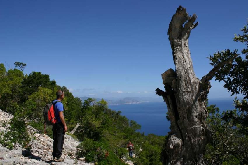 B&B Sa Clarera Baunei Luaran gambar